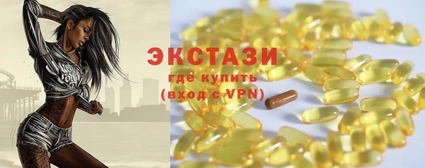 дмт Инта