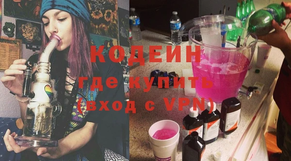 дмт Инта
