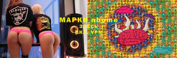 дмт Инта