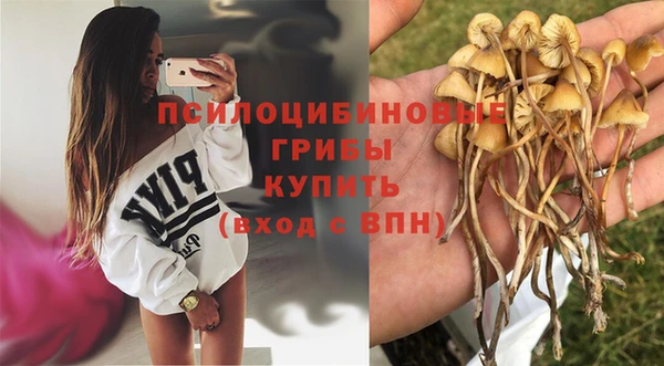 героин Инсар