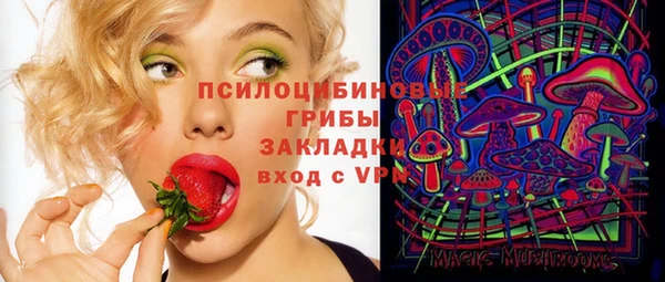 дмт Инта