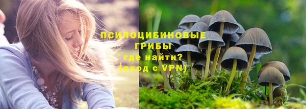 трава Иннополис